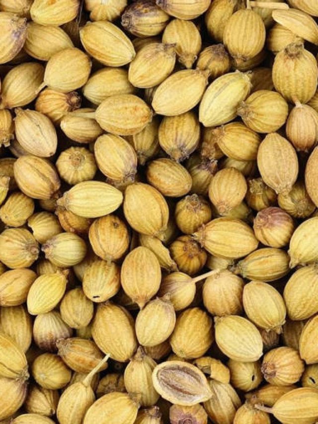 6 Benefits Of Drinking Soaked Coriander Water Everyday